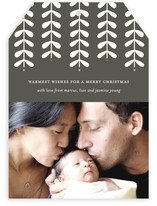 Modern Mistletoe Holiday Photo Cards