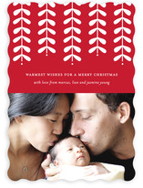 Modern Mistletoe Holiday Photo Cards