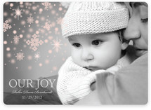 Our Snowflake Joy Holiday Photo Cards
