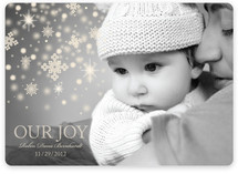 Our Snowflake Joy Holiday Photo Cards