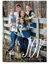Dusting of Joy Holiday Photo Cards