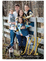 Dusting of Joy Holiday Photo Cards