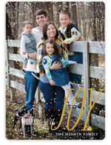 Dusting of Joy Holiday Photo Cards