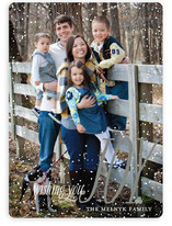 Dusting of Joy Holiday Photo Cards