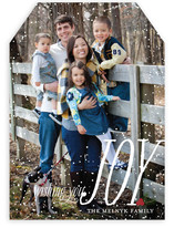 Dusting of Joy Holiday Photo Cards