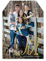 Dusting of Joy Holiday Photo Cards