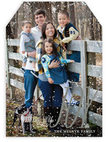 Dusting of Joy Holiday Photo Cards