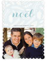 Winter Foliage Holiday Photo Cards