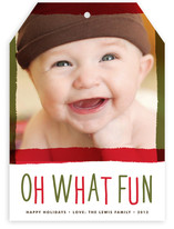 Painted Frame Holiday Photo Cards