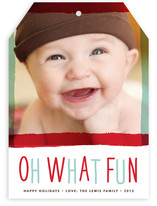 Painted Frame Holiday Photo Cards