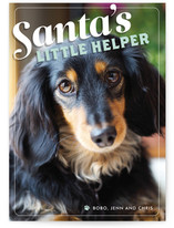 Little Helper Holiday Photo Cards