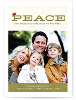 Peace to All Holiday Photo Cards