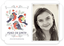 Perch Holiday Photo Cards