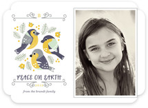 Perch Holiday Photo Cards