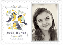Perch Holiday Photo Cards