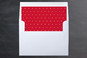 Slip-In Envelope Liners
