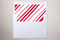 Slip-In Envelope Liners