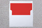 Slip-In Envelope Liners