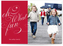 Ton of Fun Holiday Photo Cards