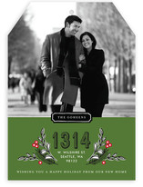 Framed Address Holiday Photo Cards