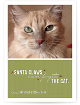 Santa Claws Holiday Photo Cards