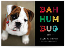 Cheerful Humbug Holiday Photo Cards
