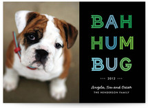 Cheerful Humbug Holiday Photo Cards
