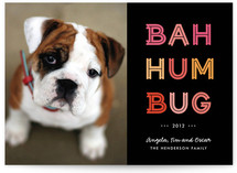 Cheerful Humbug Holiday Photo Cards