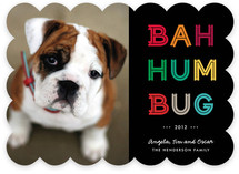 Cheerful Humbug Holiday Photo Cards