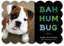 Cheerful Humbug Holiday Photo Cards