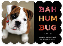 Cheerful Humbug Holiday Photo Cards
