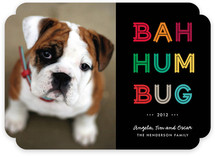 Cheerful Humbug Holiday Photo Cards