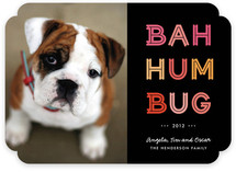 Cheerful Humbug Holiday Photo Cards