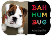 Cheerful Humbug Holiday Photo Cards