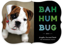 Cheerful Humbug Holiday Photo Cards