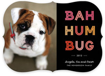 Cheerful Humbug Holiday Photo Cards