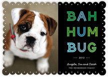 Cheerful Humbug Holiday Photo Cards