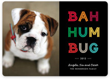 Cheerful Humbug Holiday Photo Cards