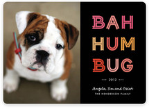 Cheerful Humbug Holiday Photo Cards