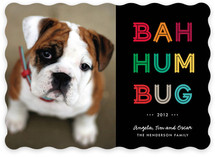 Cheerful Humbug Holiday Photo Cards