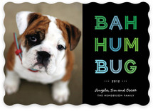 Cheerful Humbug Holiday Photo Cards