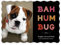 Cheerful Humbug Holiday Photo Cards
