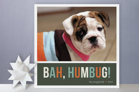 Bah Humbug Holiday Photo Cards