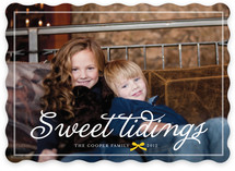 Jingle and Sweet Tidings Holiday Photo Cards