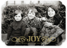 Multiplied Joy Holiday Photo Cards