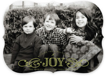 Multiplied Joy Holiday Photo Cards