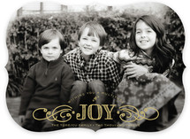 Multiplied Joy Holiday Photo Cards