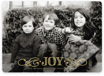 Multiplied Joy Holiday Photo Cards