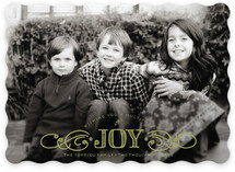 Multiplied Joy Holiday Photo Cards
