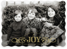 Multiplied Joy Holiday Photo Cards